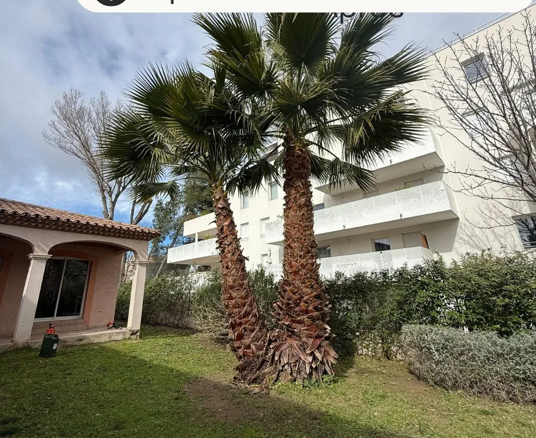 Conseils et suivi