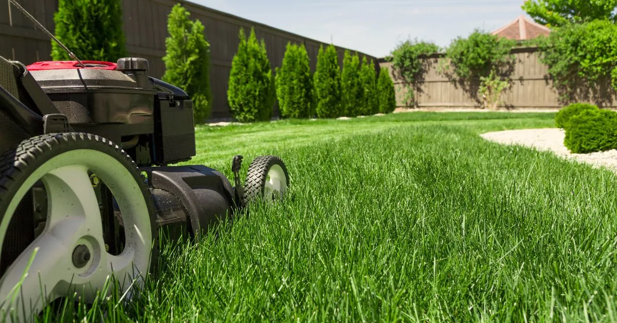Entretien de jardin