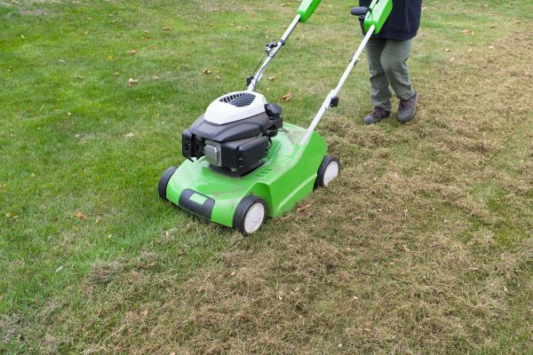 scarifier pelouse