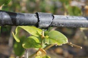 installer goutte-à-goutte