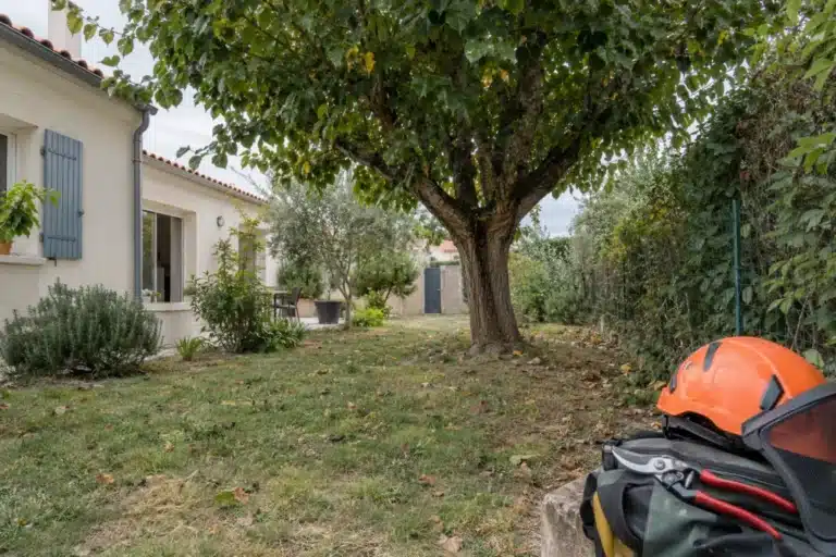 Arbre près d’une maison avec un accès étroit et du matériel d’élagage au sol